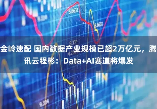 金岭速配 国内数据产业规模已超2万亿元，腾讯云程彬：Data+AI赛道将爆发
