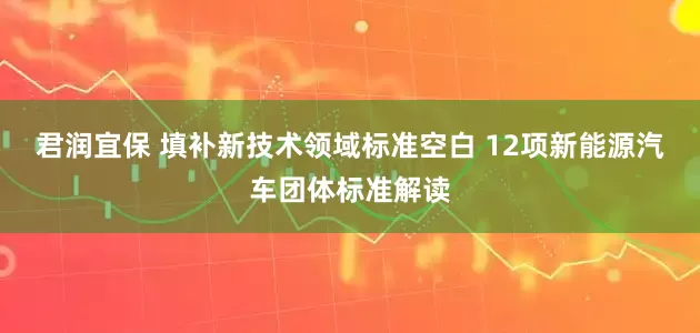君润宜保 填补新技术领域标准空白 12项新能源汽车团体标准解读