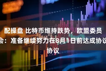 配操盘 比特币维持跌势，欧盟委员会：准备继续努力在8月1日前达成协议