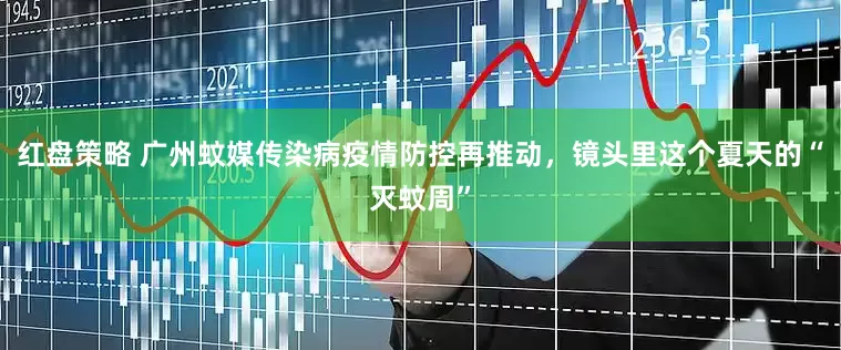 红盘策略 广州蚊媒传染病疫情防控再推动，镜头里这个夏天的“灭蚊周”