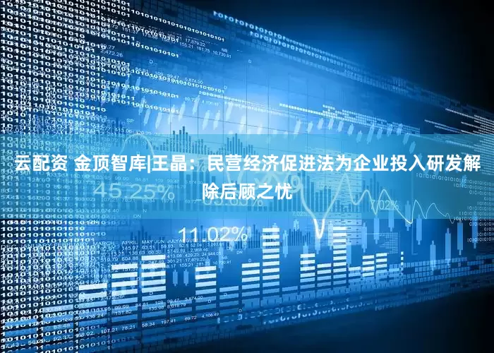 云配资 金顶智库|王晶：民营经济促进法为企业投入研发解除后顾之忧